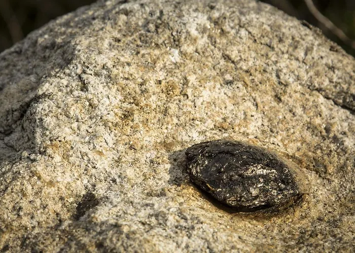 Casa de Férias Ti'justina